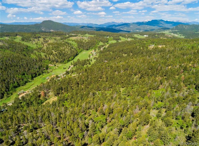20951 Pleasant Park Rd, Conifer, CO 80433 - photo 39