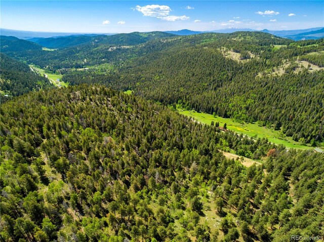 20951 Pleasant Park Rd, Conifer, CO 80433 - photo 40