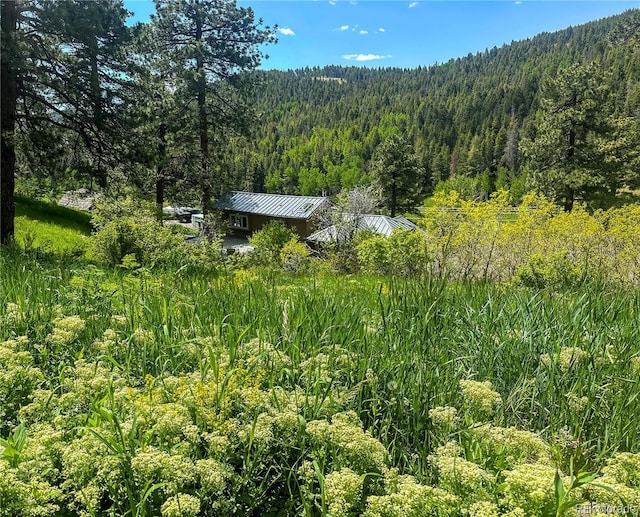 20951 Pleasant Park Rd, Conifer, CO 80433 - photo 41