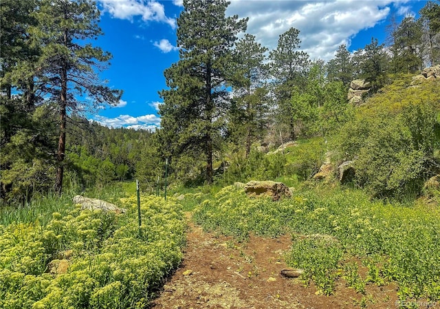 20951 Pleasant Park Rd, Conifer, CO 80433 - photo 42