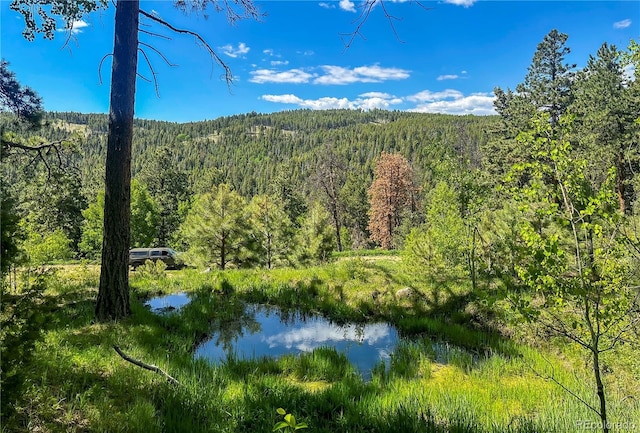 20951 Pleasant Park Rd, Conifer, CO 80433 - photo 43