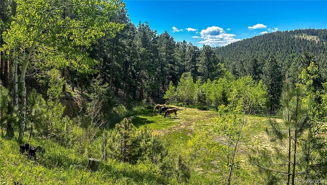20951 Pleasant Park Rd, Conifer, CO 80433 - photo 44
