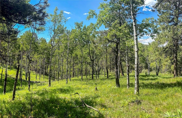 20951 Pleasant Park Rd, Conifer, CO 80433 - photo 45