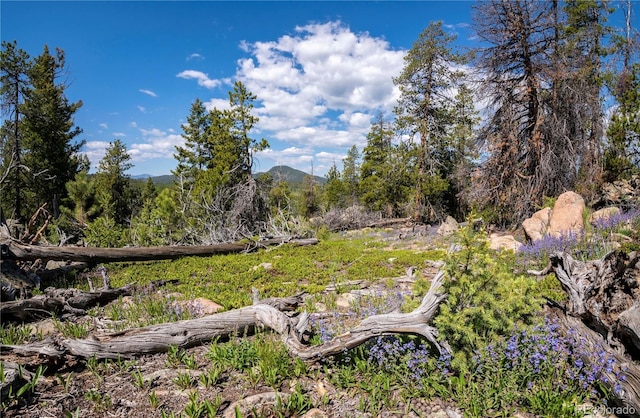 20951 Pleasant Park Rd, Conifer, CO 80433 - photo 46