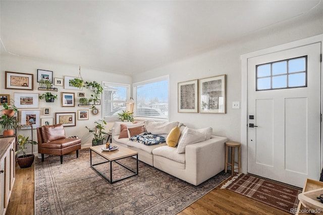 living room featuring dark wood-type flooring