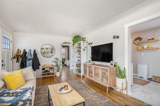 living room featuring wood-type flooring