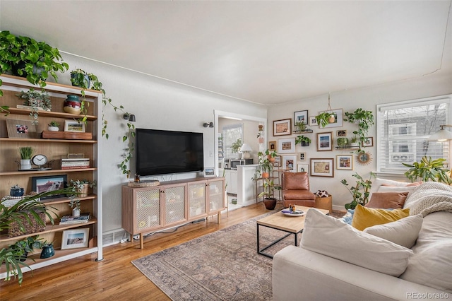 living room featuring light hardwood / wood-style flooring