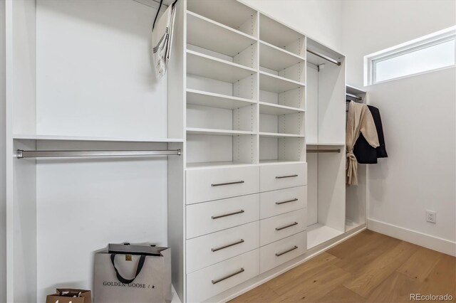 spacious closet featuring light hardwood / wood-style floors