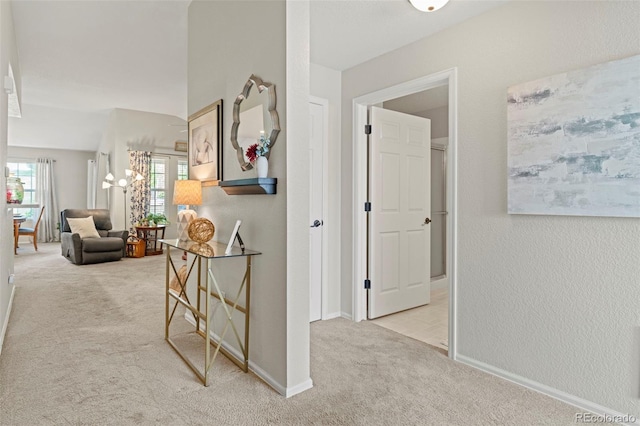 8009 S Algonquian Ct, Aurora, CO 80016 - corridor with carpet flooring and healthy amount of natural light