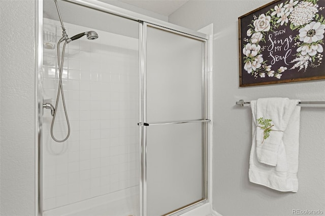 8009 S Algonquian Ct, Aurora, CO 80016 - bathroom with a shower stall