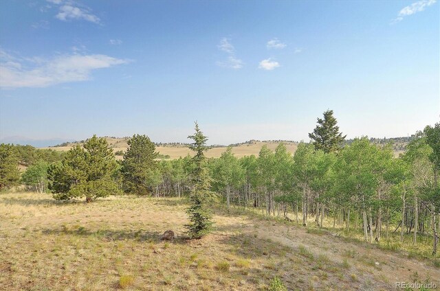 5543 Ranch Rd, Hartsel, CO 80449 - photo 15