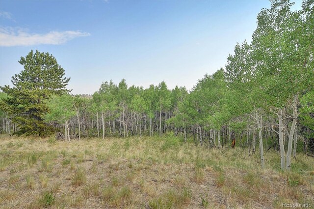 5543 Ranch Rd, Hartsel, CO 80449 - photo 29