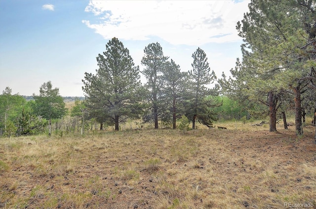 5543 Ranch Rd, Hartsel, CO 80449 - photo 30