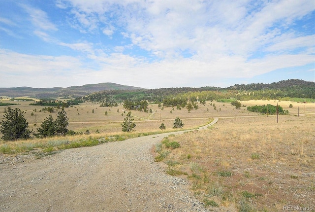 5543 Ranch Rd, Hartsel, CO 80449 - photo 38