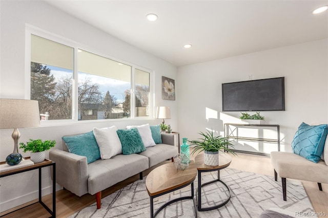 living room featuring light hardwood / wood-style floors