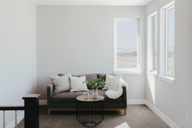 sitting room featuring carpet floors