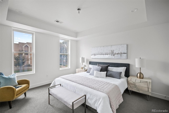 carpeted bedroom featuring a raised ceiling