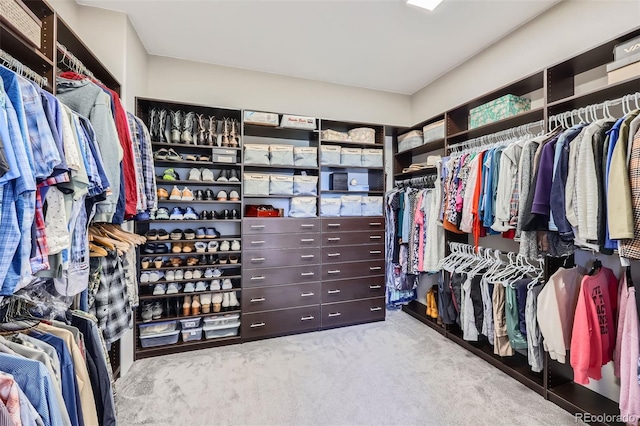 walk in closet featuring carpet floors