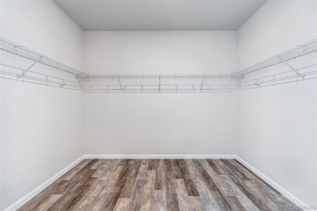 walk in closet with wood finished floors