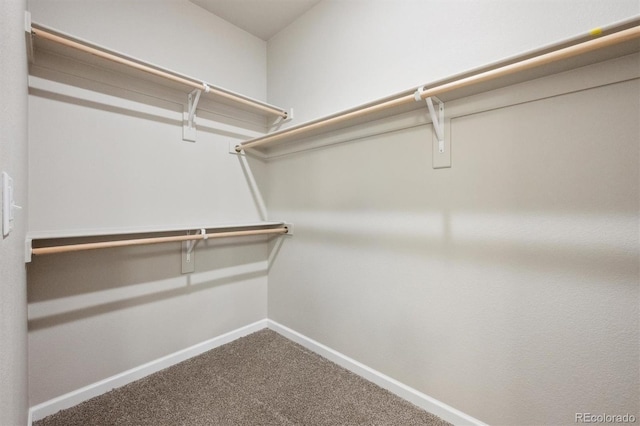 2277 Serenidad St, Brighton, CO 80601 - photo 14