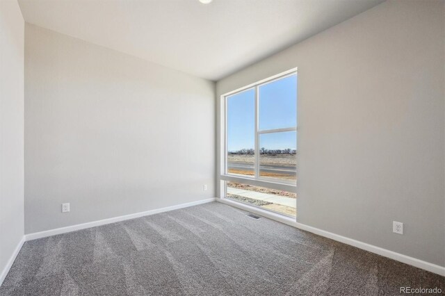 2277 Serenidad St, Brighton, CO 80601 - photo 16