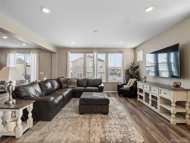 living room featuring hardwood / wood-style flooring