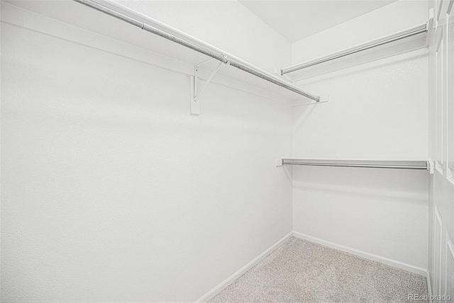 5607 S Gray St, Littleton, CO 80123 - spacious closet featuring carpet floors