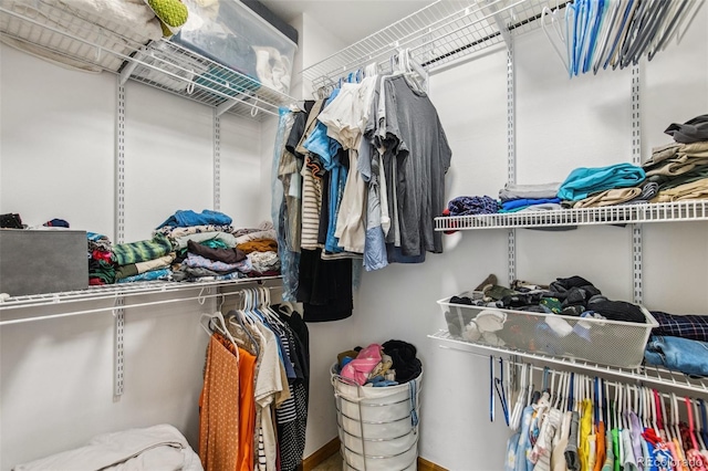 6980 Native Cir, Colorado Springs, CO 80919 - view of spacious closet