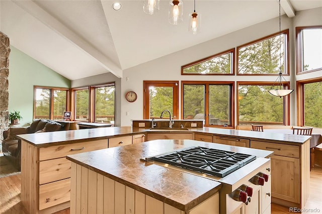 3726 Spring Valley Trl, Evergreen, CO 80439 - photo 9