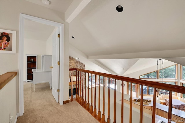 3726 Spring Valley Trl, Evergreen, CO 80439 - photo 27