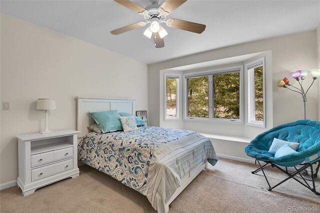 3726 Spring Valley Trl, Evergreen, CO 80439 - photo 32