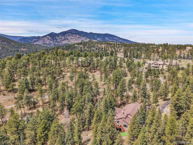 3726 Spring Valley Trl, Evergreen, CO 80439 - photo 45