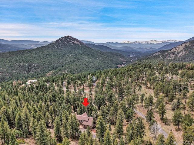 3726 Spring Valley Trl, Evergreen, CO 80439 - photo 46