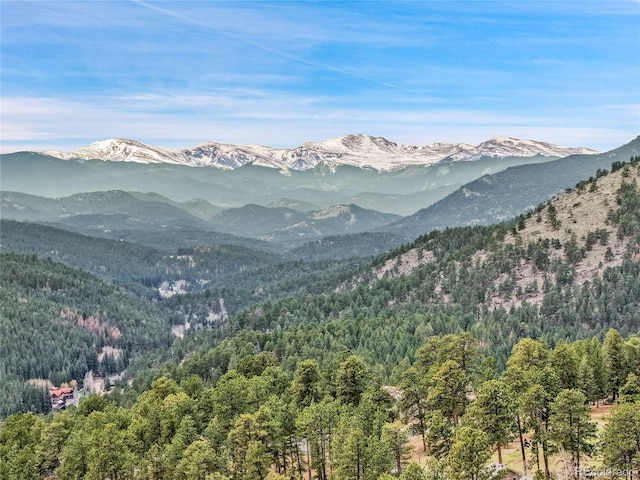 3726 Spring Valley Trl, Evergreen, CO 80439 - photo 47