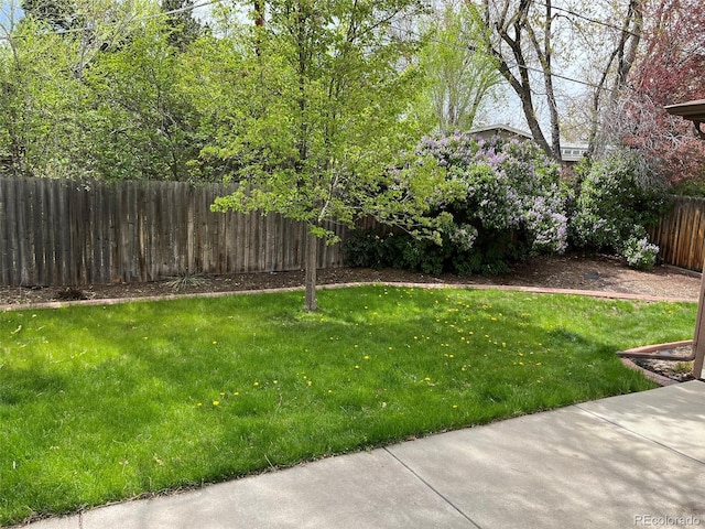 view of yard featuring fence