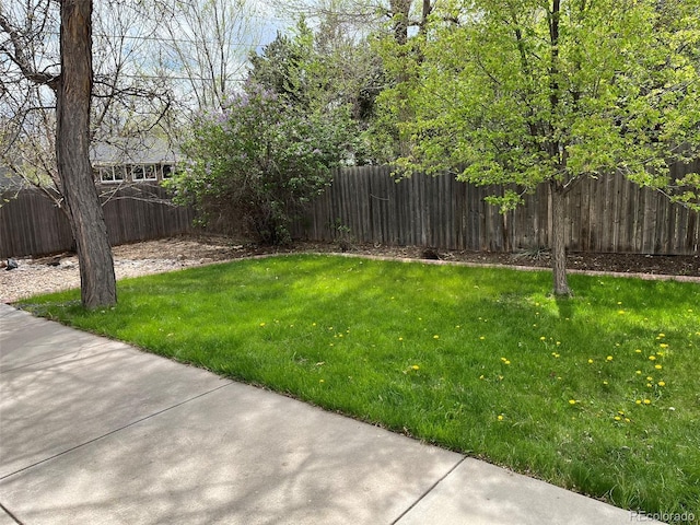 view of yard with a fenced backyard