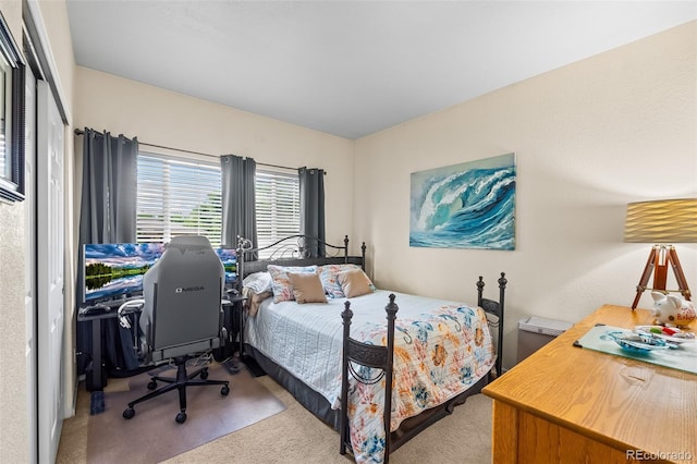 1703 Whitehall Dr Unit 7G, Longmont, CO 80504 - photo 20