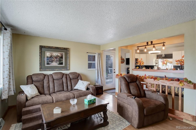 living room featuring a textured ceiling and wood-type flooring