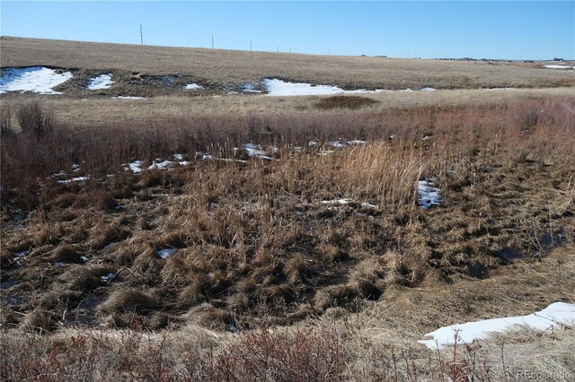 20713 Blue Springs Vw, Peyton, CO 80831 - photo 10