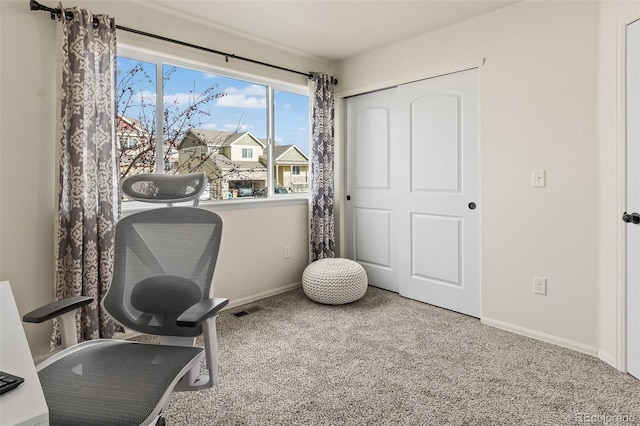 office featuring carpet floors