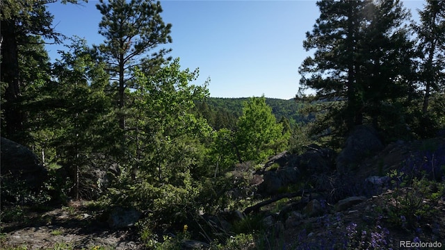 13864 N Trail Cir, Littleton, CO 80127 - photo 30