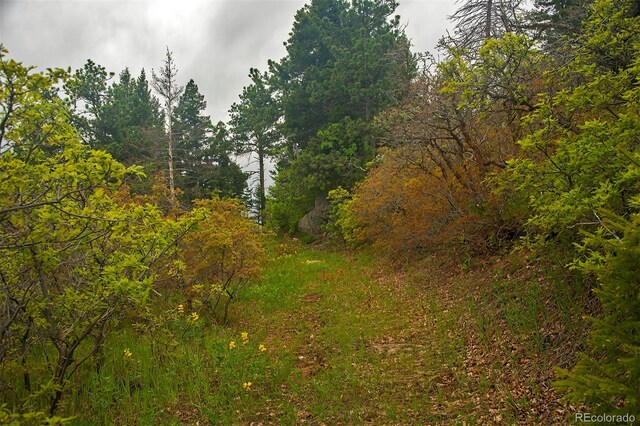 13864 N Trail Cir, Littleton, CO 80127 - photo 9