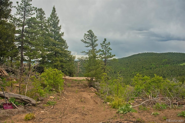13864 N Trail Cir, Littleton, CO 80127 - photo 20