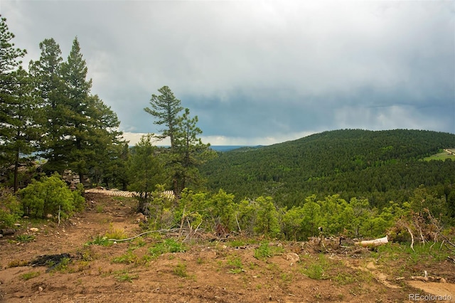 13864 N Trail Cir, Littleton, CO 80127 - photo 27