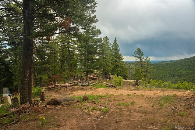 13864 N Trail Cir, Littleton, CO 80127 - photo 28