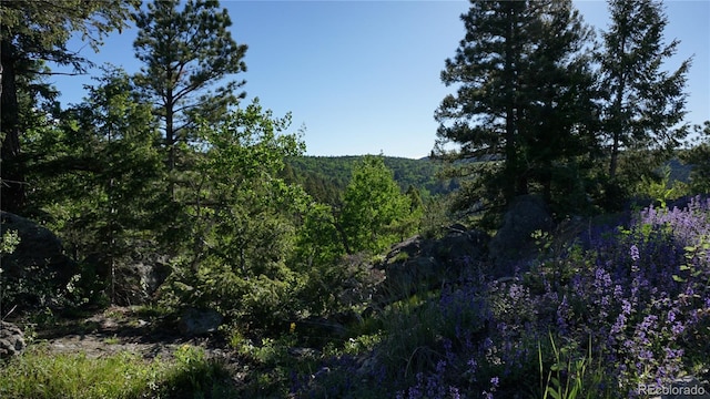 13864 N Trail Cir, Littleton, CO 80127 - photo 29