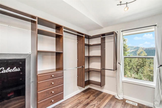 walk in closet featuring wood-type flooring