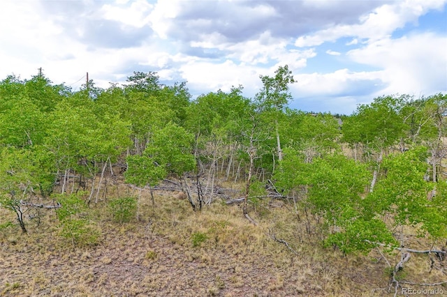 577 Pronghorn, Jefferson, CO 80456