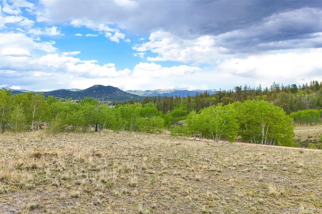 577 Pronghorn, Jefferson, CO 80456