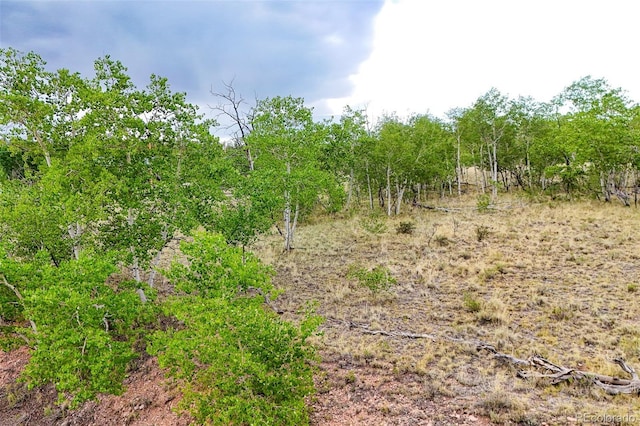 577 Pronghorn, Jefferson, CO 80456
